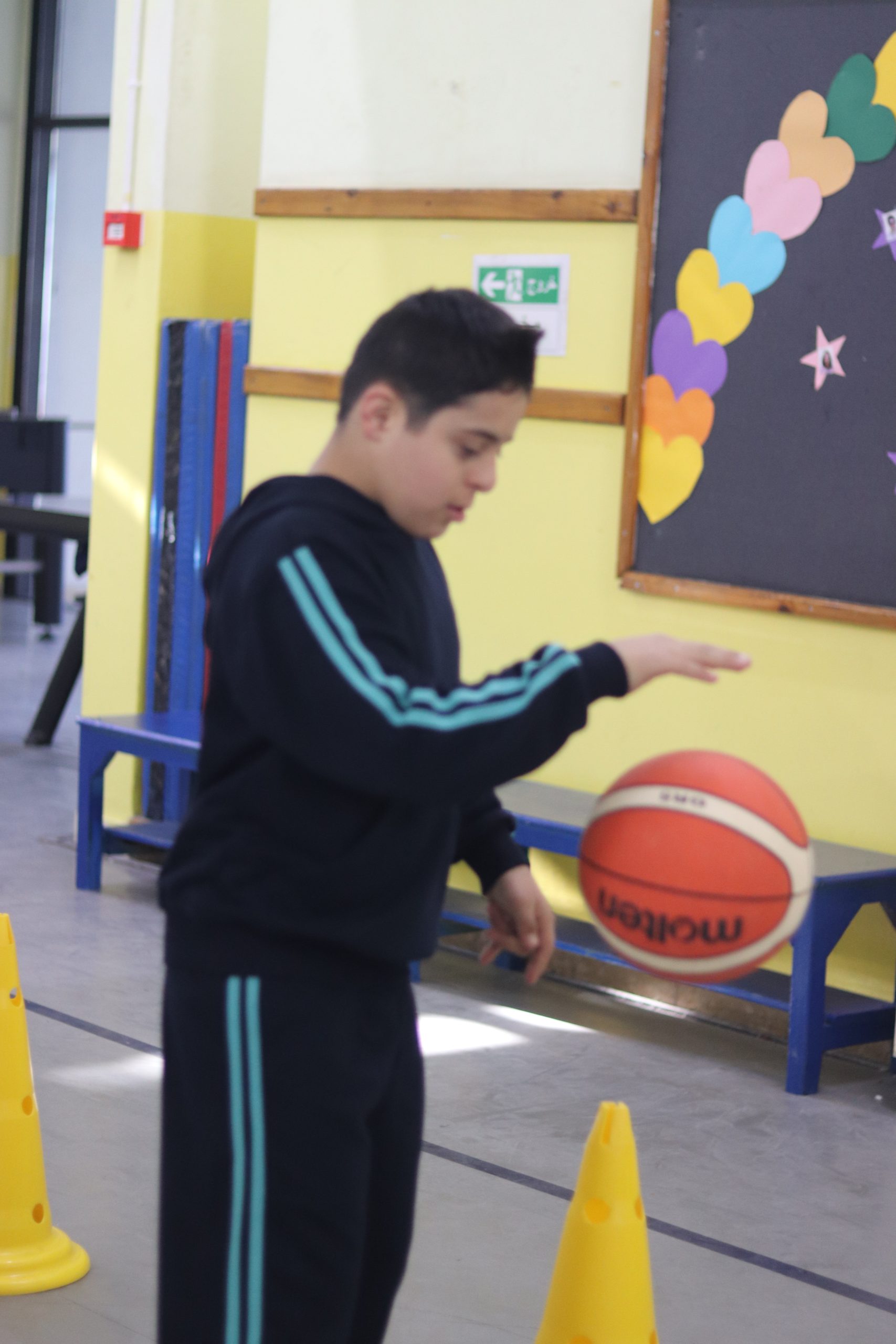 الانشطة الرياضية